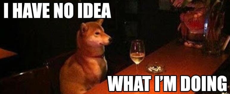 dog at the bar meme