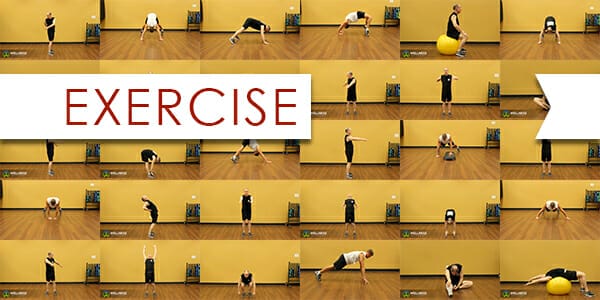 DAM - Exercise ver1