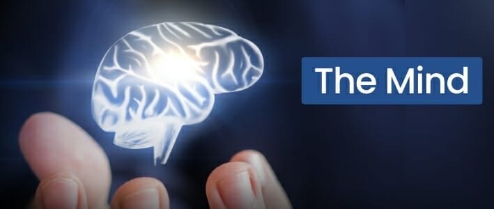 Artistic Representation Of A Brain