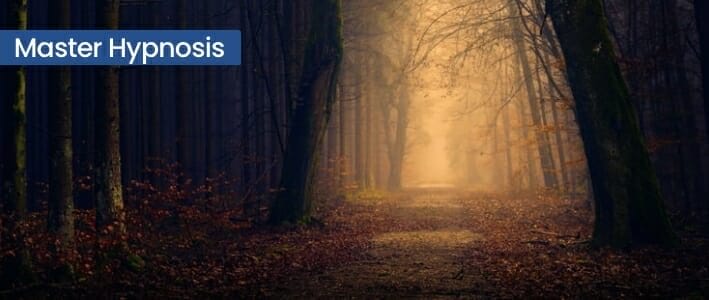 Clear Pathway In The Dark Woods