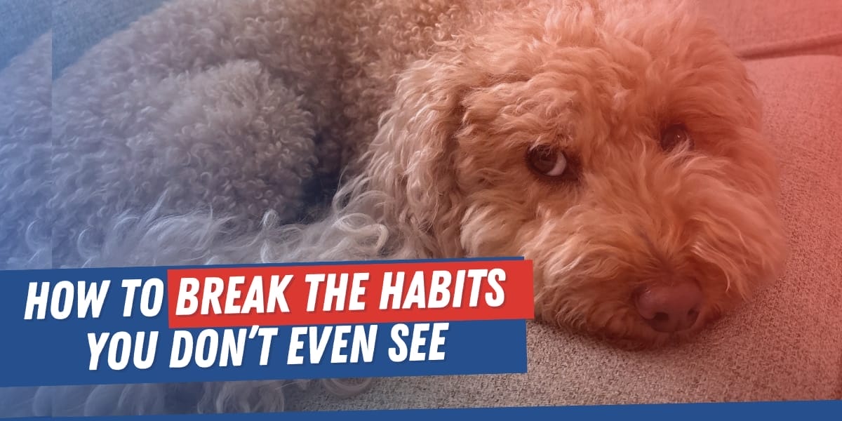 How To Break The Habits You Don’t Even See